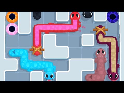 Gecko Out Level 504