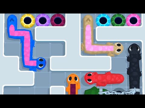Gecko Out Level 559