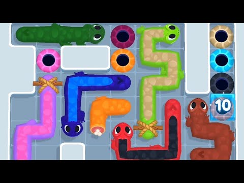Gecko Out Level 543